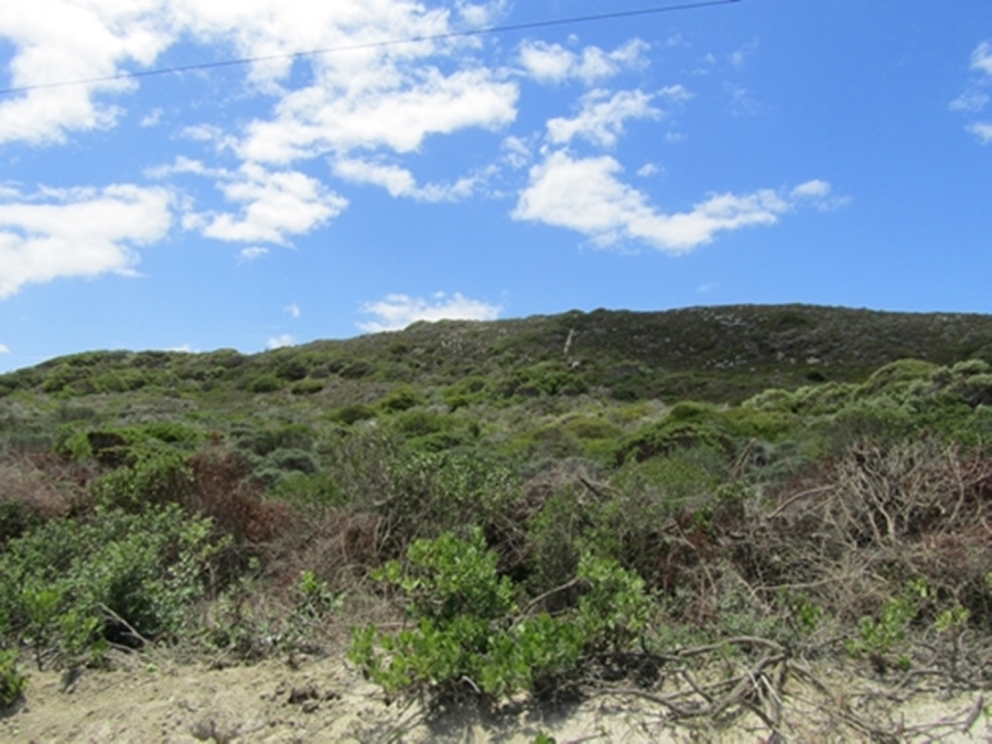 0 Bedroom Property for Sale in Suiderstrand Western Cape